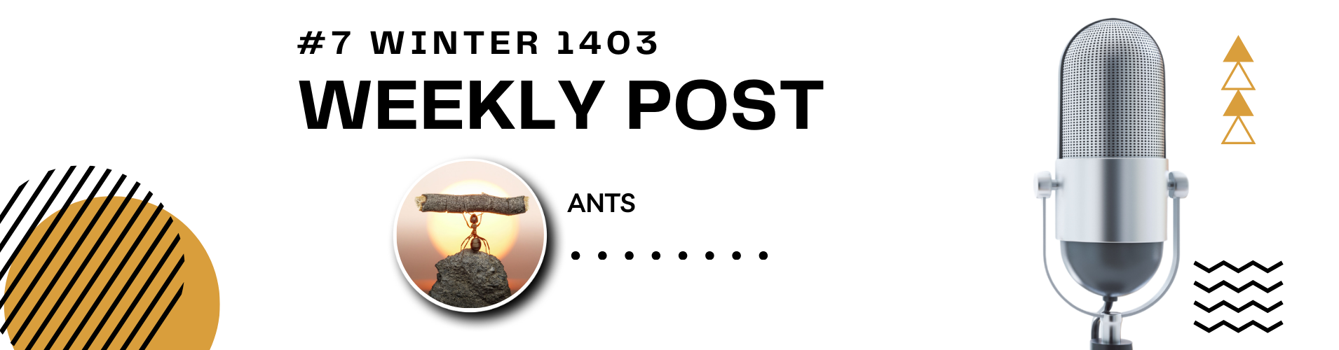 پست هفتگی 7 زمستان 1403